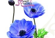 Юбилейный год EAST NIGHTS – 20 лет!