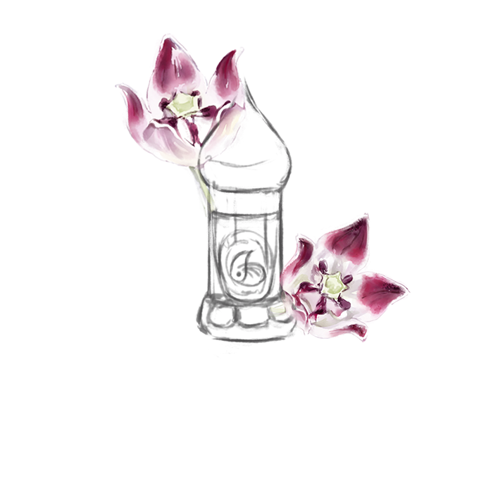 Душистые экстракты